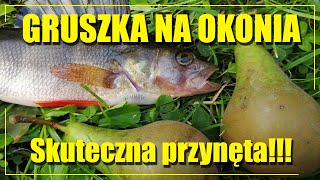 GRUSZKA na OKONIA  Okoń na spinning  Skuteczna przynęta  Грушка на окуня  Пуля [upl. by Britton272]