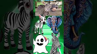 Zebra coffin 🆚 Elephant coffin 🆚 ghost coffin 🆚 Beby Zebra coffin 🎵 tileshop short shorts meme [upl. by Veronica]