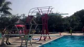 Diving Board Tricks Summer 2014 [upl. by Rosati]