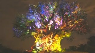 TREE OF LIFE AWAKENINGS  Full Night Show at Animal Kingdom Disney World [upl. by Ailemrac]