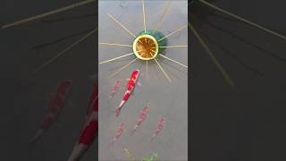 Survival Skills Simple fish trap with watermelon short survival fishing shortvideo [upl. by Ainer]