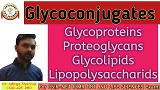 Glycoconjugates Basic concept GlycoproteinsGlycolipidsProteoglycans By Keystone Life sciences [upl. by Hirst377]