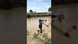 Village fisherman throws cast net amp catch fish  Nimitt Fishing Video Ep52 shorts fishing outdoor [upl. by Smitt52]