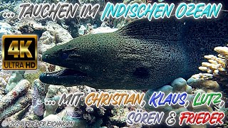 Tauchen im Indischen Ozean 🐠 🐡 🦞 [upl. by Gilletta868]