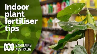 What fertiliser is best for indoor plants  Indoor Plants  Gardening Australia [upl. by Yennaiv]