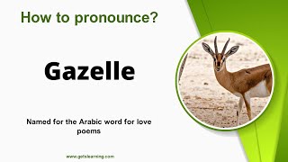 How to pronounce Gazelle in English Correctly [upl. by Erej227]