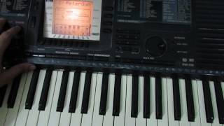 Yamaha PSR 530 Demo And Review [upl. by Waterman]