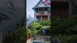 Rishihaat farmstay offbeatdarjeeling [upl. by Nomar]