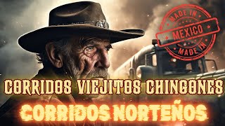 CORRIDOS VIEJITOS CHINGONES  PUROS CORRIDOS NORTEÑOS MIX PA PISTEAR [upl. by Margalo]