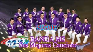 Banda MS Sigue 2013 [upl. by Amena]