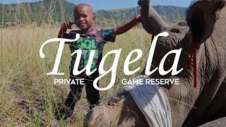 Tugela Private Game Reserve [upl. by Enyawal]