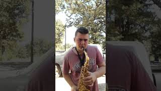 Careless Whisper sax solo [upl. by Farlee]