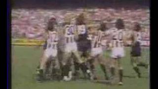 Carlton vs Collingwood brawl Princes Park 1975 [upl. by Williamsen]