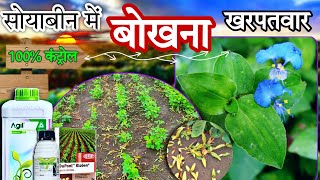 सोयाबीन में बोखना खरपतवार नियंत्रण  Soybean me bokhna kharpatwar control Soybean kharpatwar nashak [upl. by Karolina]