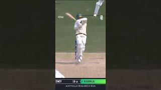 Winning runs Game over in Adelaide playoftheday [upl. by Olra]