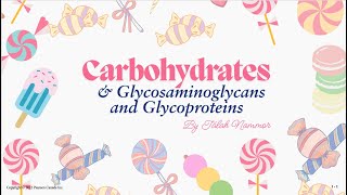 Introduction to Carbohydrates Glycosaminoglycans and Glycoproteins  Talah Nammor  MOL 114 [upl. by Airdnola]