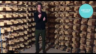 Reverberant vs Anechoic chamber ENG subtitles [upl. by Greene187]