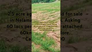 25 acre agricultural land for sale60 lacs per acre in DabaspetSompura Hobli Nelamangala [upl. by Idnahc398]