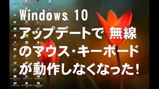 Windows 10 アップデート で 無線マウス・無線キーボード動作不能になったので対処と対策 [upl. by Maloy]