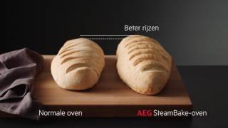 AEG Stoomoven  SteamBake [upl. by Enilreug]