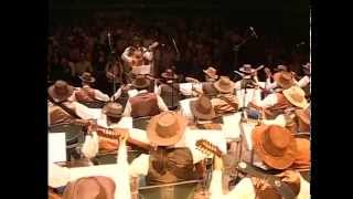 Hino Nacional Brasileiro  Orquestra Paulistana de Viola Caipira [upl. by Anisor986]