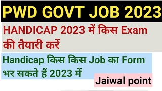 PWD GOVT JOB 2023 2023 में handicap के लिए best job best job for handicap [upl. by Yennek72]