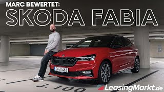 Skoda Fabia Test  Vorteile und Nachteile 👍👎 [upl. by Hukill891]