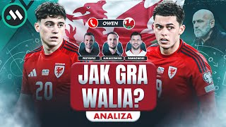 WALIA BEZ TAJEMNIC CO CZEKA REPREZENTACJĘ POLSKI W CARDIFF ANALIZA [upl. by Lavena]