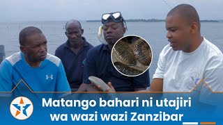 MATANGO BAHARI ni utajiri wa wazi wazi Zanzibar [upl. by Pangaro]