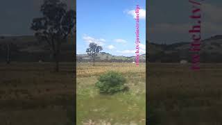 VLINE Albury NSW To Southern Cross 101024 vline shorts shortvideo train travel views [upl. by Katey]