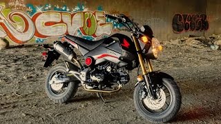 MY BRAND NEW HONDA GROM 125cc [upl. by Babs]