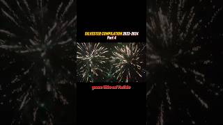 SILVESTER COMPILATION 20232024🧨  Part 4 [upl. by Quita]