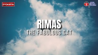 Rimas  Fabulous Cat  Lirik Video [upl. by September434]