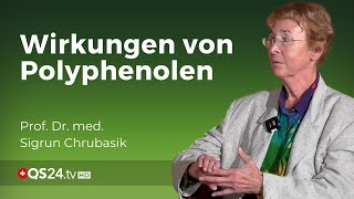 Die antivirale Wirkung von Polyphenolen  Prof Dr med Sigrun Chrubasik  NaturMEDIZIN  QS24 [upl. by Einuj139]