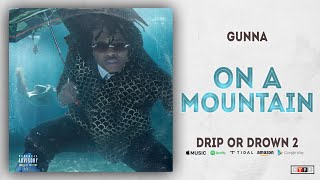 Gunna  On a Mountain Drip or Drown 2 [upl. by Fiedler]