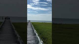 crabbing in crisfield Maryland for blue crabs crabbing bluecrab [upl. by Alimaj716]