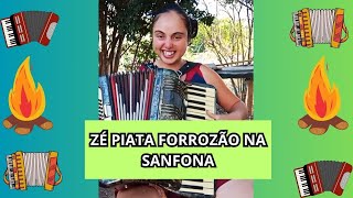 FORROZÃO ZÉ PIATA  musica sanfona forrozão voninho [upl. by Lanford]