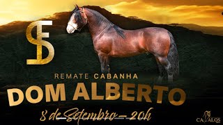 REMATE VIRTUAL CABANHA DOM ALBERTO [upl. by Anelrats]