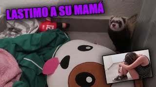 DESCUBRIMOS EL CUARTO SECRETO DE NUESTRA BEBE Y MUERDE A LYNA [upl. by Emile]