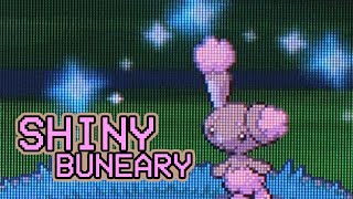 561  LIVE Shiny Buneary in Platinum after 15248 REs [upl. by Juetta]