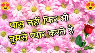 Hum aapse bahut pyar karte hai  Romantic shayari video  Love Hindi shayari video [upl. by Keyte]