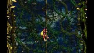 Donkey Kong Country 2  Bramble Scramble [upl. by Eladnek]