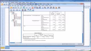 Estimating InterRater Reliability with Cohens Kappa in SPSS [upl. by Vaules]