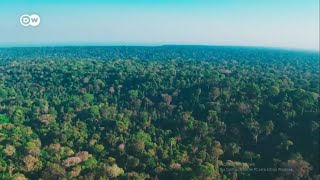 quotRíos Voladoresquot  Las aguas del Amazonas [upl. by Cointon]