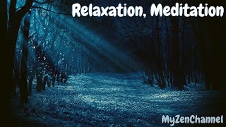 Ambiance De Foret La Nuit Bruit Blanc ASMR Relaxation et Bien Dormir [upl. by Akiemahs]