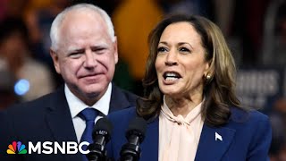 ‘She’s taking Republicans away from Trump’ Pollster reveals shocking new data for Harris [upl. by Nyledaj954]