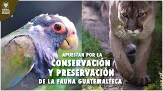 Grupo Campollo Apuesta por la Conservación y Preservación de la Fauna en Guatemala [upl. by Aiello]