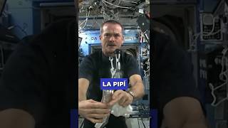 GLI ASTRONAUTI BEVONO LA LORO PIPÌ [upl. by Bocyaj]