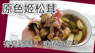 素湯 原色姬松茸味道如何 姬松茸節瓜湯 簡單方便又美味的素湯  素食好煮意 [upl. by Starinsky]