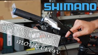 Shimano Bremse  entlüften Bremsleitung tauschen oder kürzen Shimano Deore XT [upl. by Narton223]